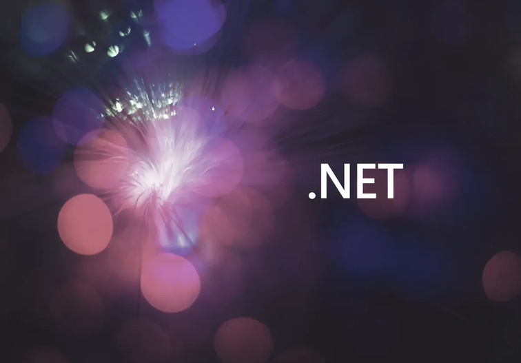 Net web development cover devabit