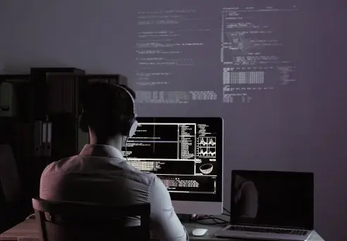 Custom web development services devabit