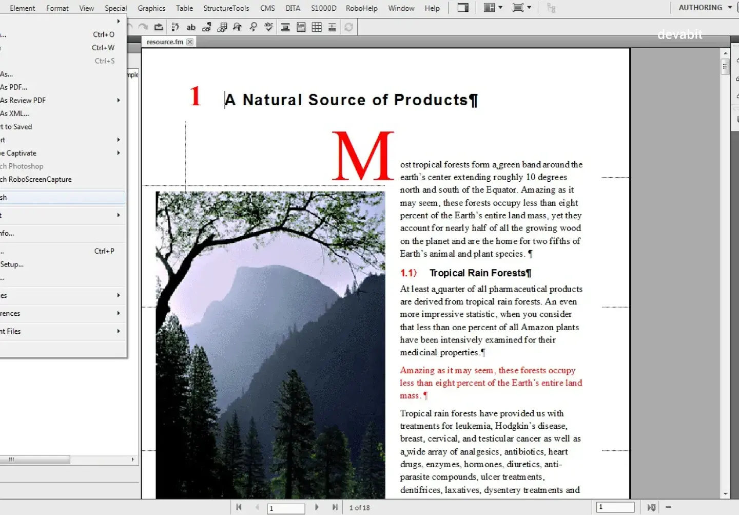 Desktop publishing software examples: Adobe FrameMaker