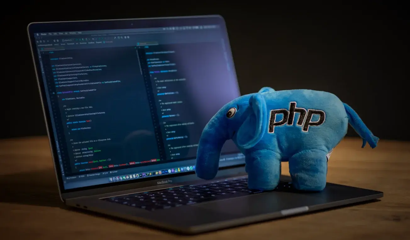 PHP programmers for hire cover devabit