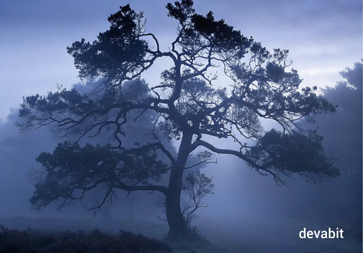 what_is_xai_decision_tree_devabit